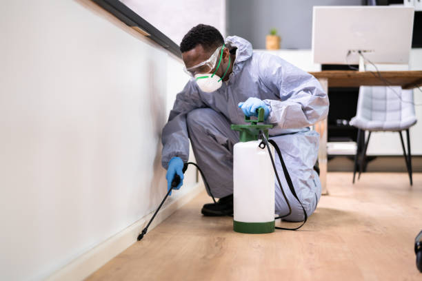 Best Bed Bug Extermination  in Woodstown, NJ